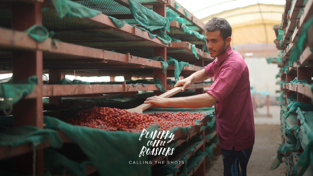 Yemen Coffee Processing